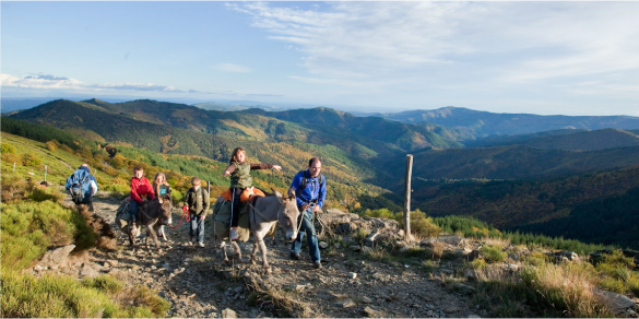 location d'anes en Cévennes