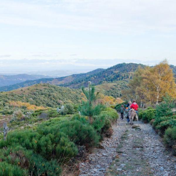 2 jours bivouac Cévennes (pour familles)