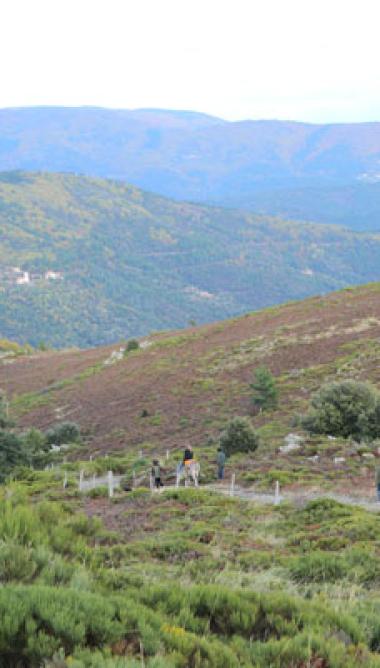 Circuit 4 jours en Cévennes - 4C-16bis