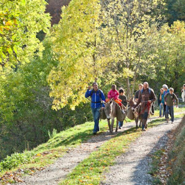 Circuit 2 jours « famille » en Cévennes
